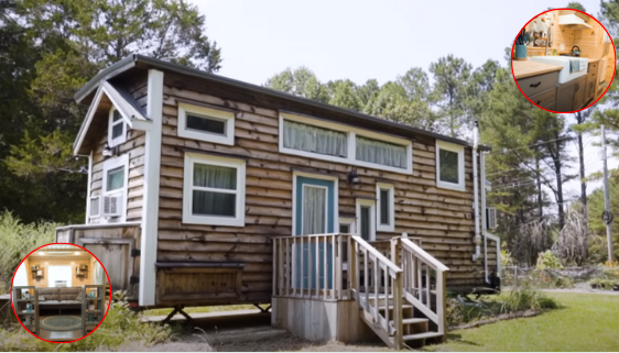 Building a Peaceful Food Forest Homestead: A Tiny Home Journey
